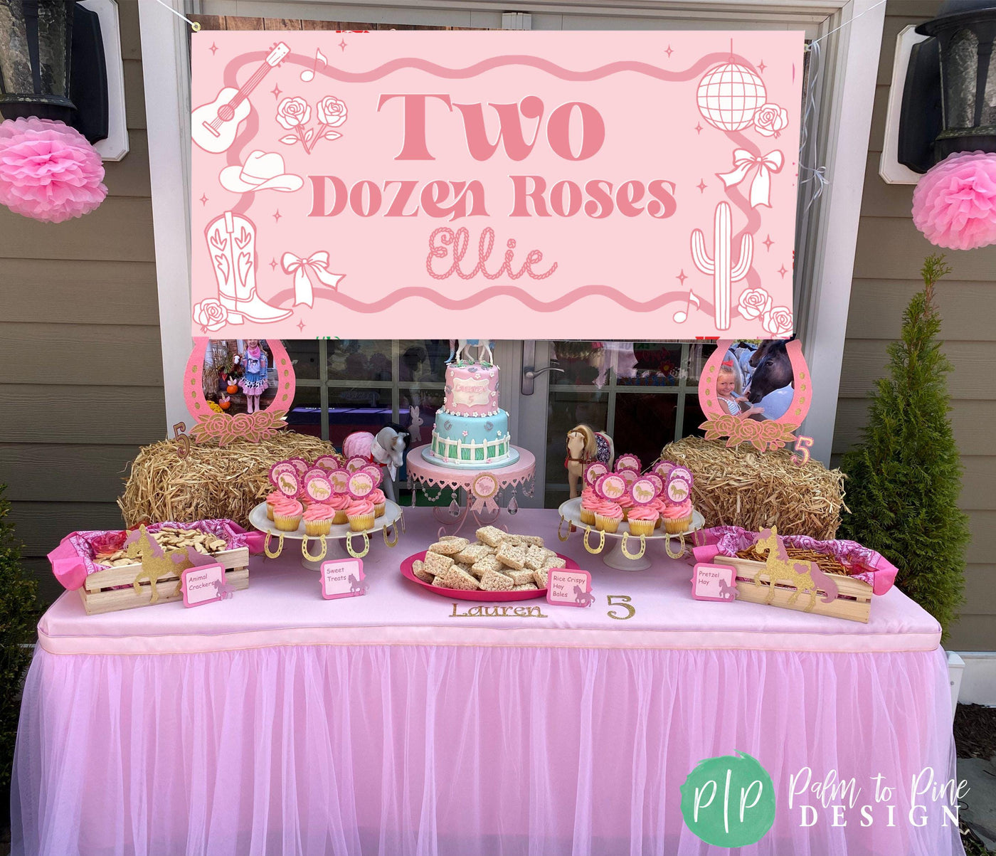 country western banner with cactus, roses, guitar and disco ball in girly pink, red, and white colors behind a dessert table