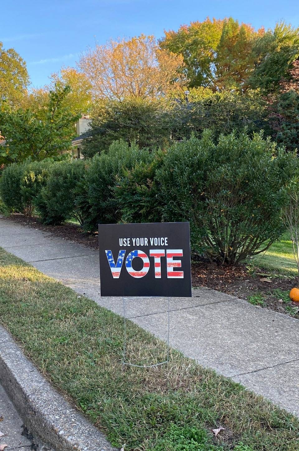 Vote yard sign